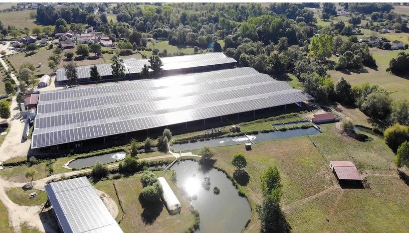Du caviar à couvert sous abri photovoltaïque de 26 000 m² à Neuvic