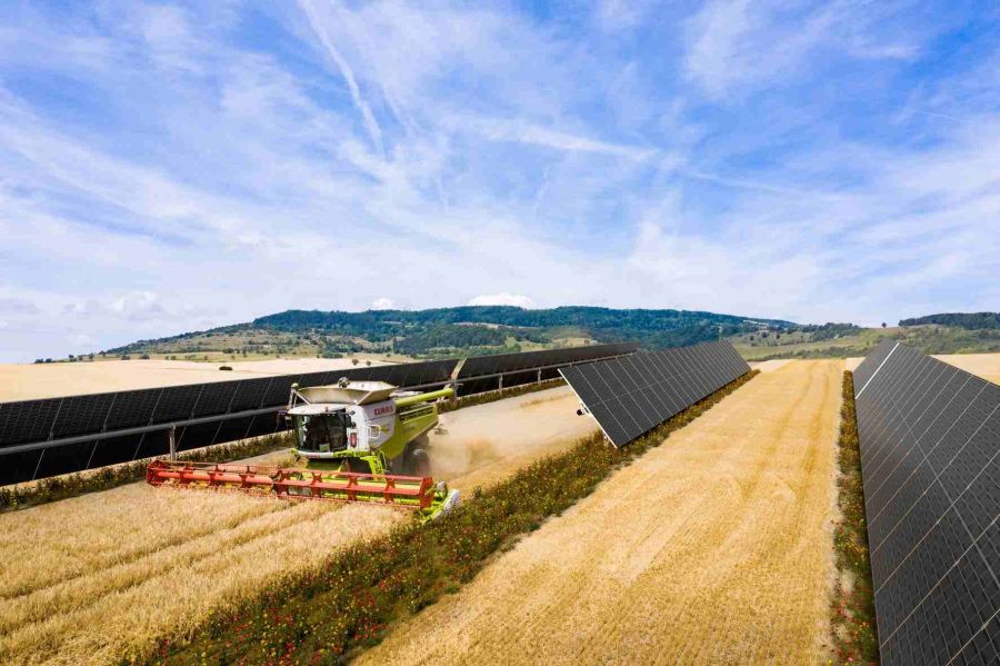 BayWa r.e. opère un parc agrivoltaïque de 54 MWc en Espagne pour le compte d’un PPA avec le groupe Velux