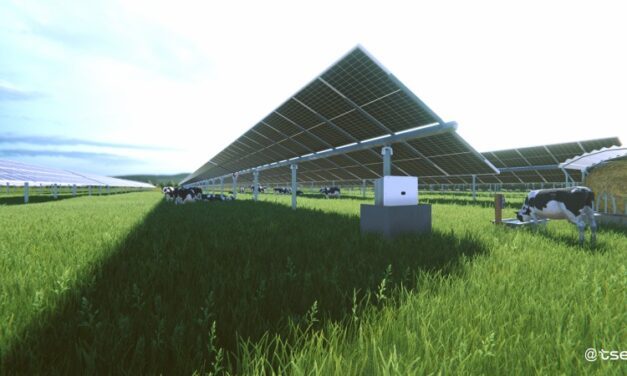 TSE signe un partenariat avec le fabricant espagnol de trackers solaires Soltec