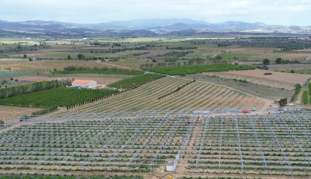 230 000 € investis par les habitants de l’Occitanie pour un projet agrivoltaïque de Solvéo Energies