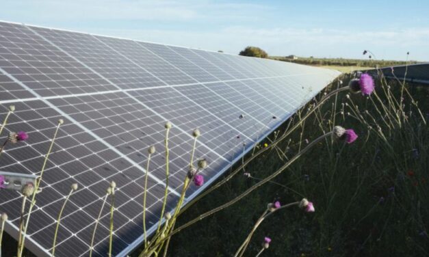 European Energy double le nombre de ses projets agrivoltaïques en France