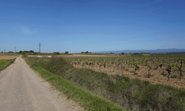 Saint-Couat d’Aude : lancement d’un financement participatif local pour un projet agrivoltaïque