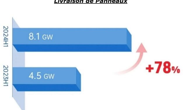 Les livraisons de modules photovoltaïques de DMEGC Solar ont bondi de 78% au 1er semestre