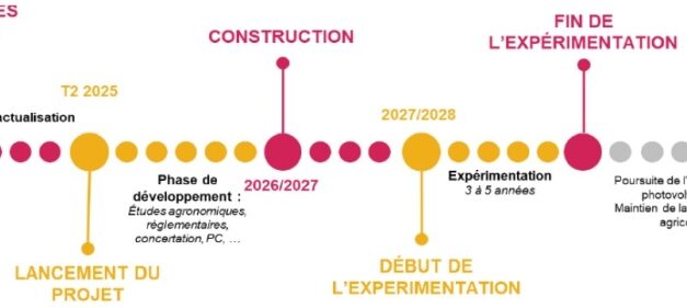 CNR lance un Appel à Manifestation d’Intérêt pour expérimenter l’agrivoltaïsme dynamique