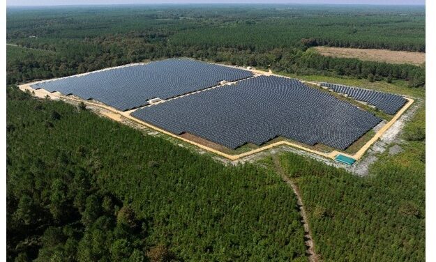 Corsica Sole inaugure la centrale photovoltaïque de Campet-et-Lamolère (40)