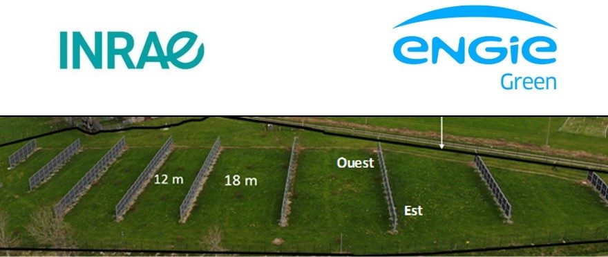 Premiers résultats de la solution agrivoltaïque Camelia installée sur le site INRAE de Laqueuille