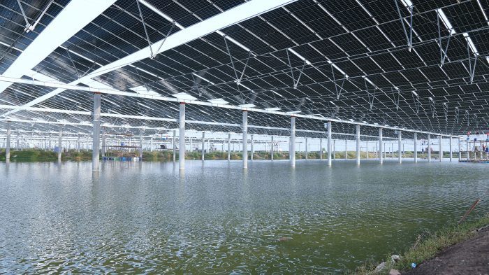 DMEGC Solar développe un projet de 940 MW combinant pisciculture et photovoltaïque