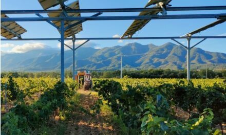 30 M€ pour accompagner les projets agrivoltaïques d’EnerVivo via Épopée Gestion