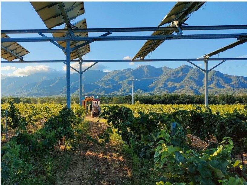 30 M€ pour accompagner les projets agrivoltaïques d’EnerVivo via Épopée Gestion