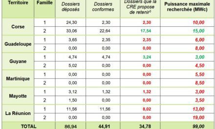 Appel d’offres PPE2 ZNI : 13 nouveaux lauréats désignés fin décembre