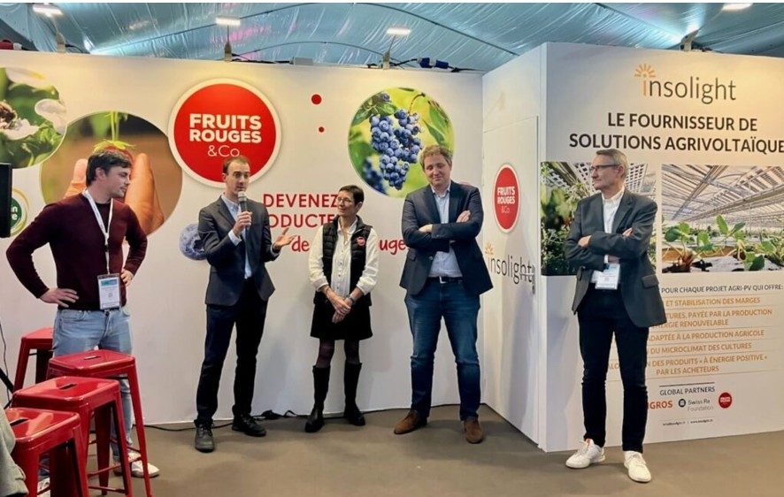 Photosol, Fruits Rouges & Co et Insolight s’allient pour développer un démonstrateur agrivoltaïque pour la filière fruits rouges