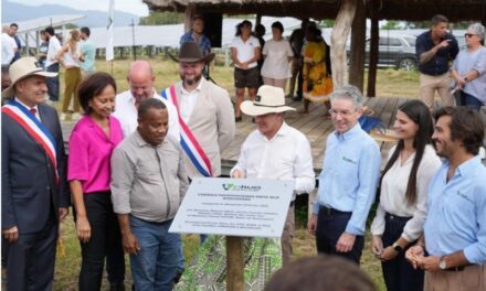 Manuel Valls inaugure la centrale de Kwita Wije, en Nouvelle-Calédonie